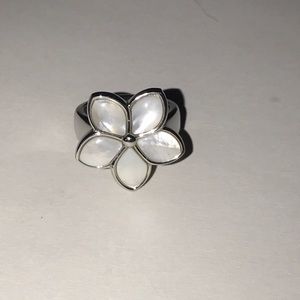 Stainless steel ring